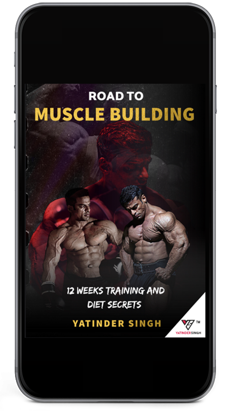 Road to Muscle Building